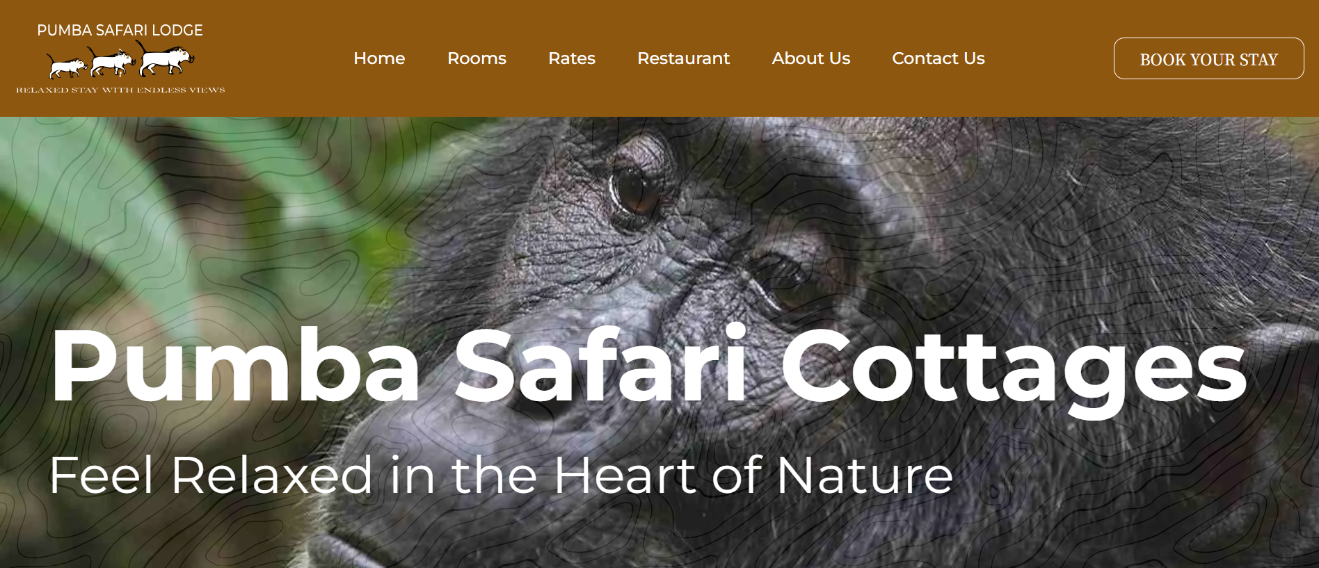 Pumba Safari Cottages